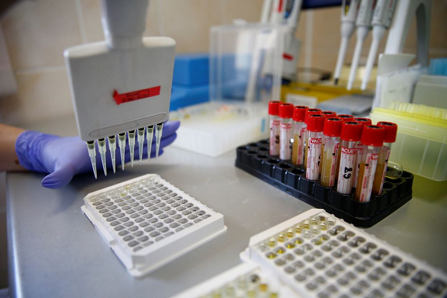 Шесть новых случаев коронавируса выявлено в Армавире 