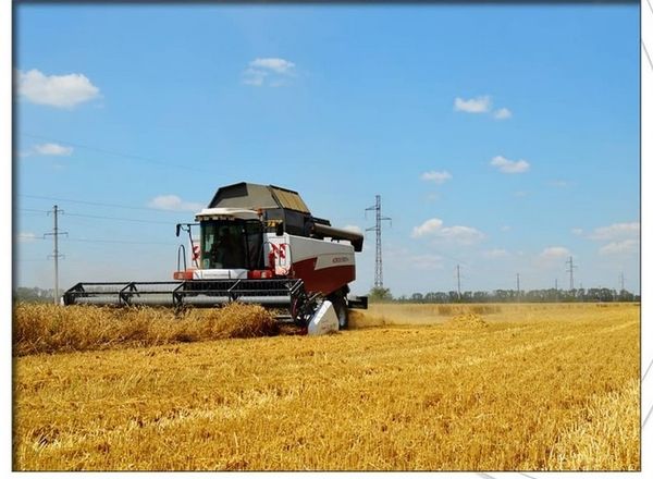 «Россети Кубань» призывает аграриев соблюдать правила электробезопасности вблизи ЛЭП!