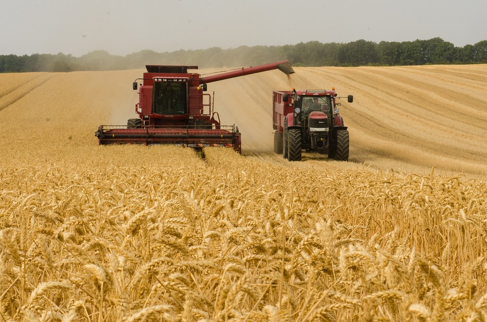 В хозяйствах Армавира собрали свыше 41 тыс тонн зерна