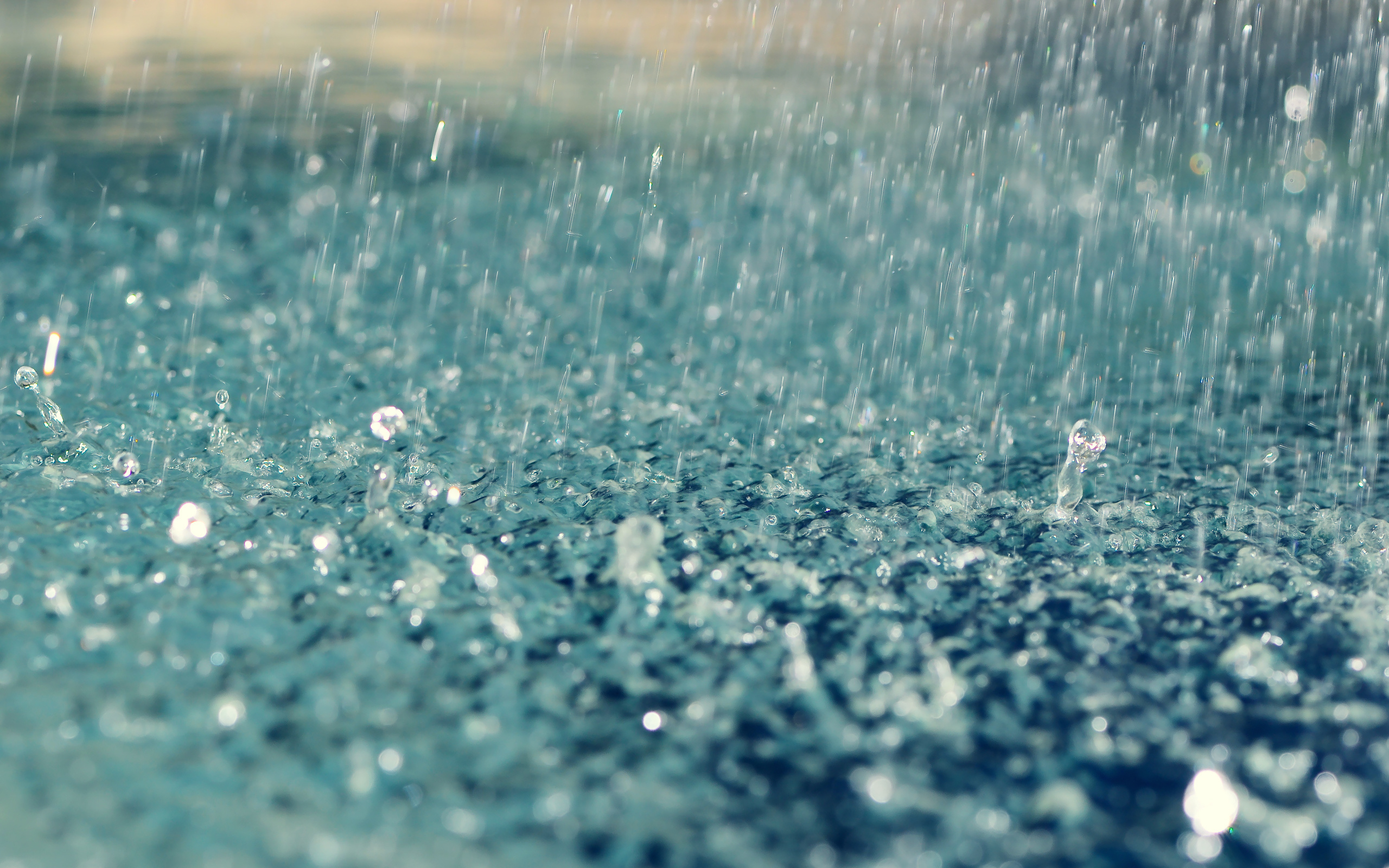 В Армавире на праздничные выходные синоптики прогнозируют дожди  