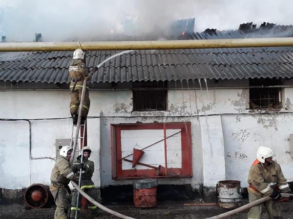 В Армавире 70 огнеборцев тушили возгорание на «Армавирском хлебопродукте»
