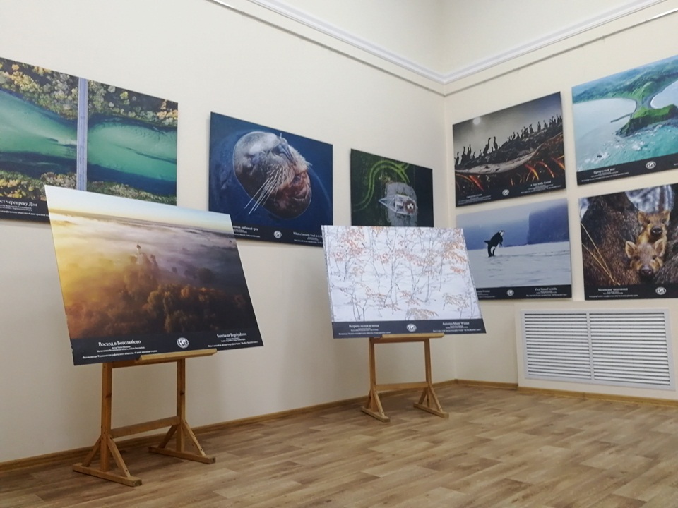 В Армавире выставлены лучшие фотографии Всероссийского конкурса РГО «Самая красивая страна»