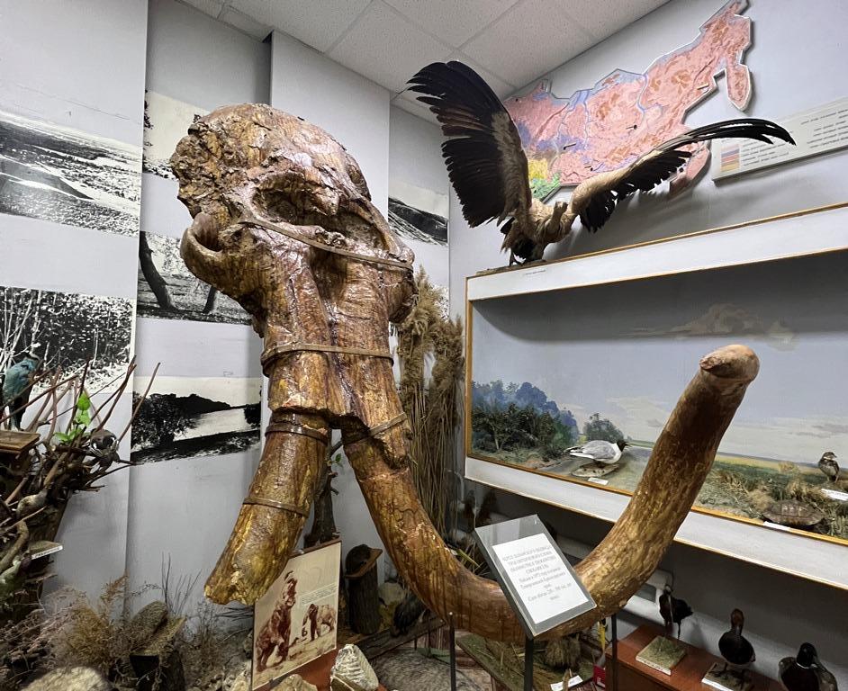 В Армавире «Ночь музеев-2022» собрала порядка 3,5 тысяч посетителей 