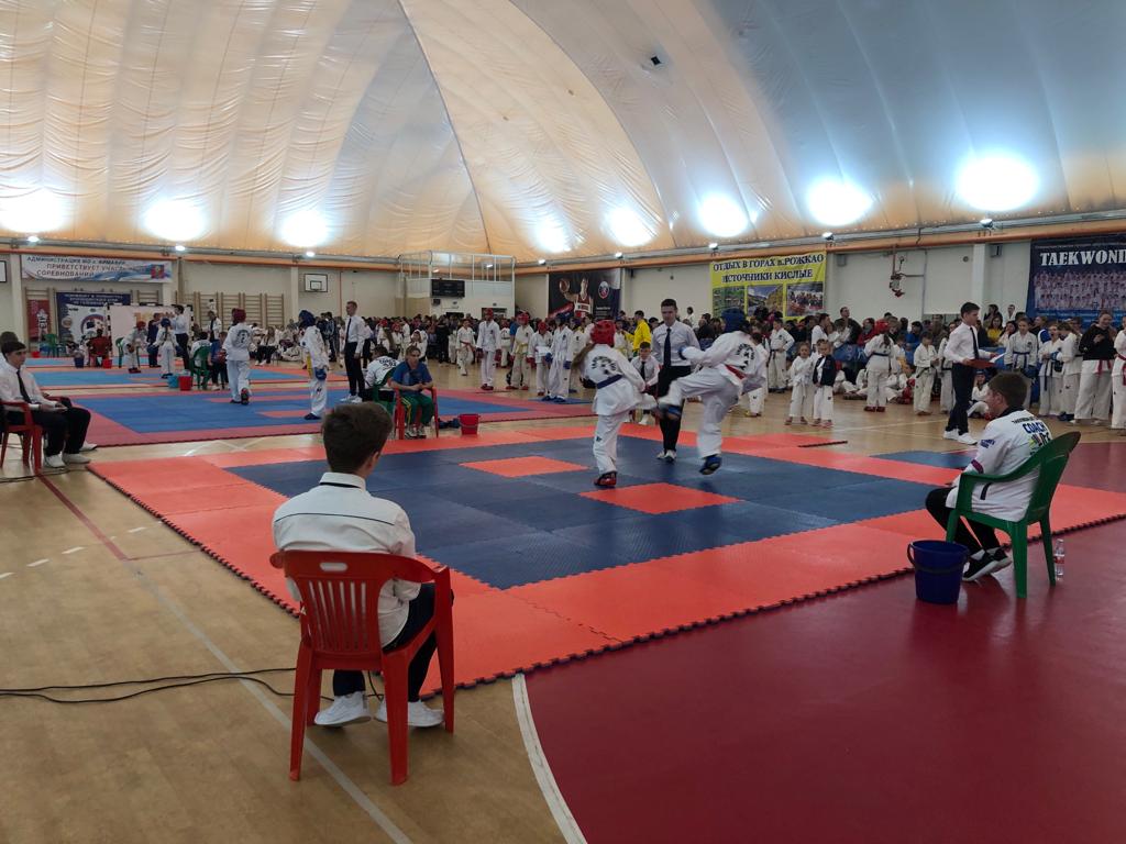 В Армавире участниками краевых соревнований по тхеквондо стали 350 спортсменов