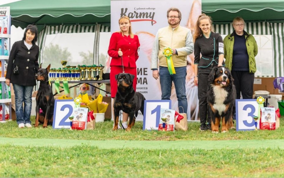 Ротвейлер из Армавира признан победителем Национальной выставки собак