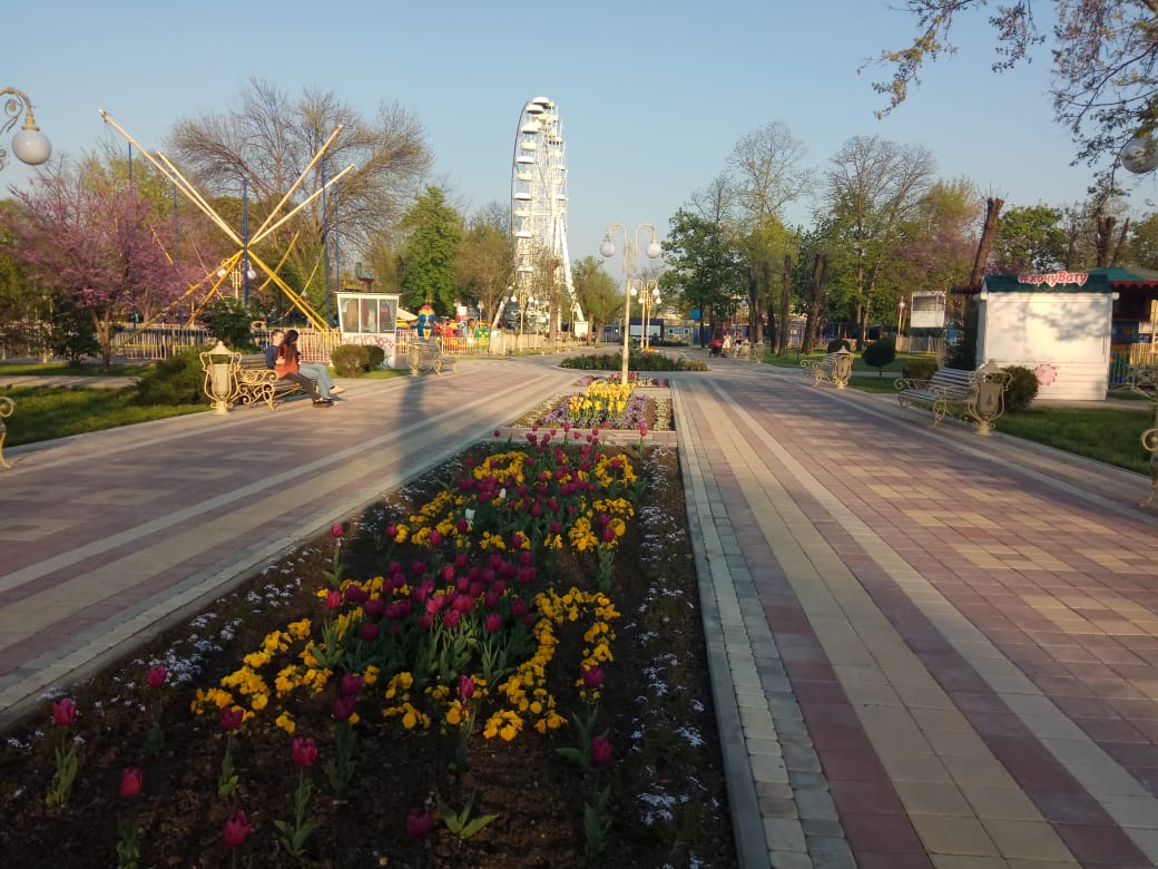 Армавир сфинксы. Городской парк Армавир. Центральный парк Армавир. Армавир городской парк аттракционы. Комсомольский парк Армавир.