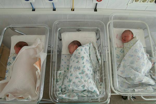 В Армавире за последние сутки родилось 4 малыша