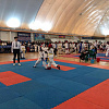 В Армавире участниками краевых соревнований по тхеквондо стали 350 спортсменов