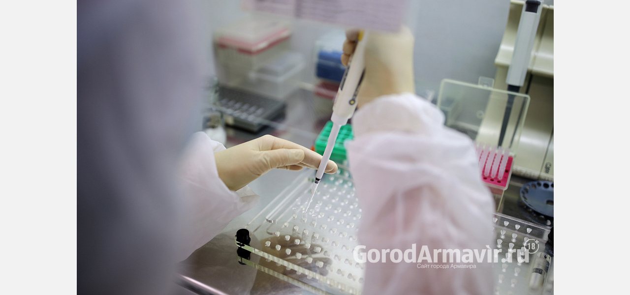 За сутки на Кубани тесты на коронавирус подтвердились еще у 67 человек 
