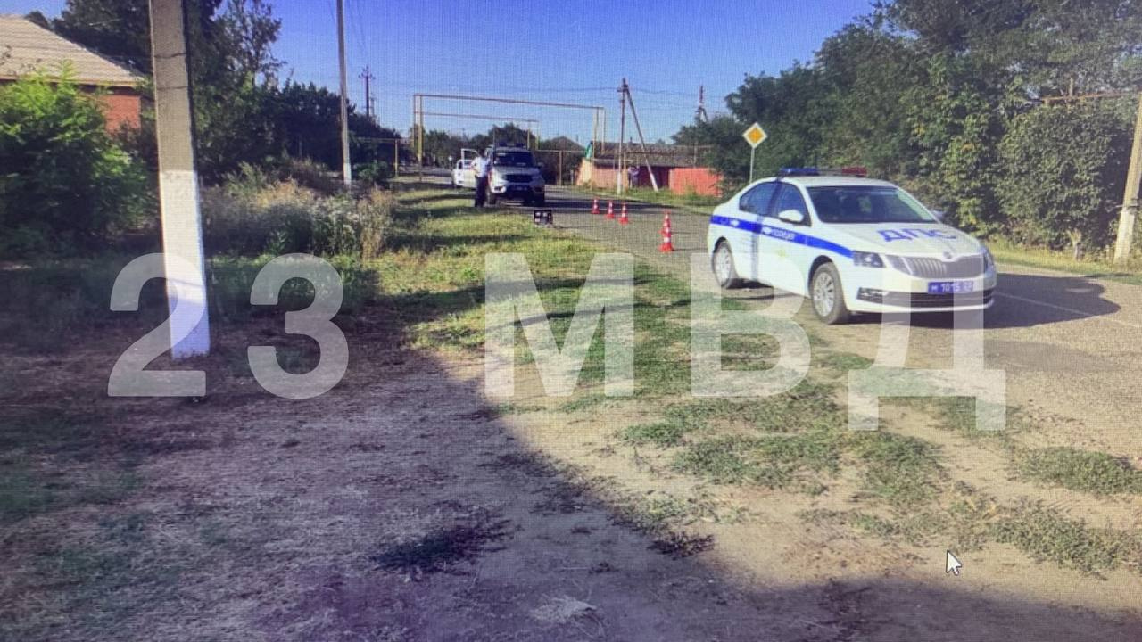 Водитель насмерть сбил 12-летнюю девочку  на дороге в Успенском районе 