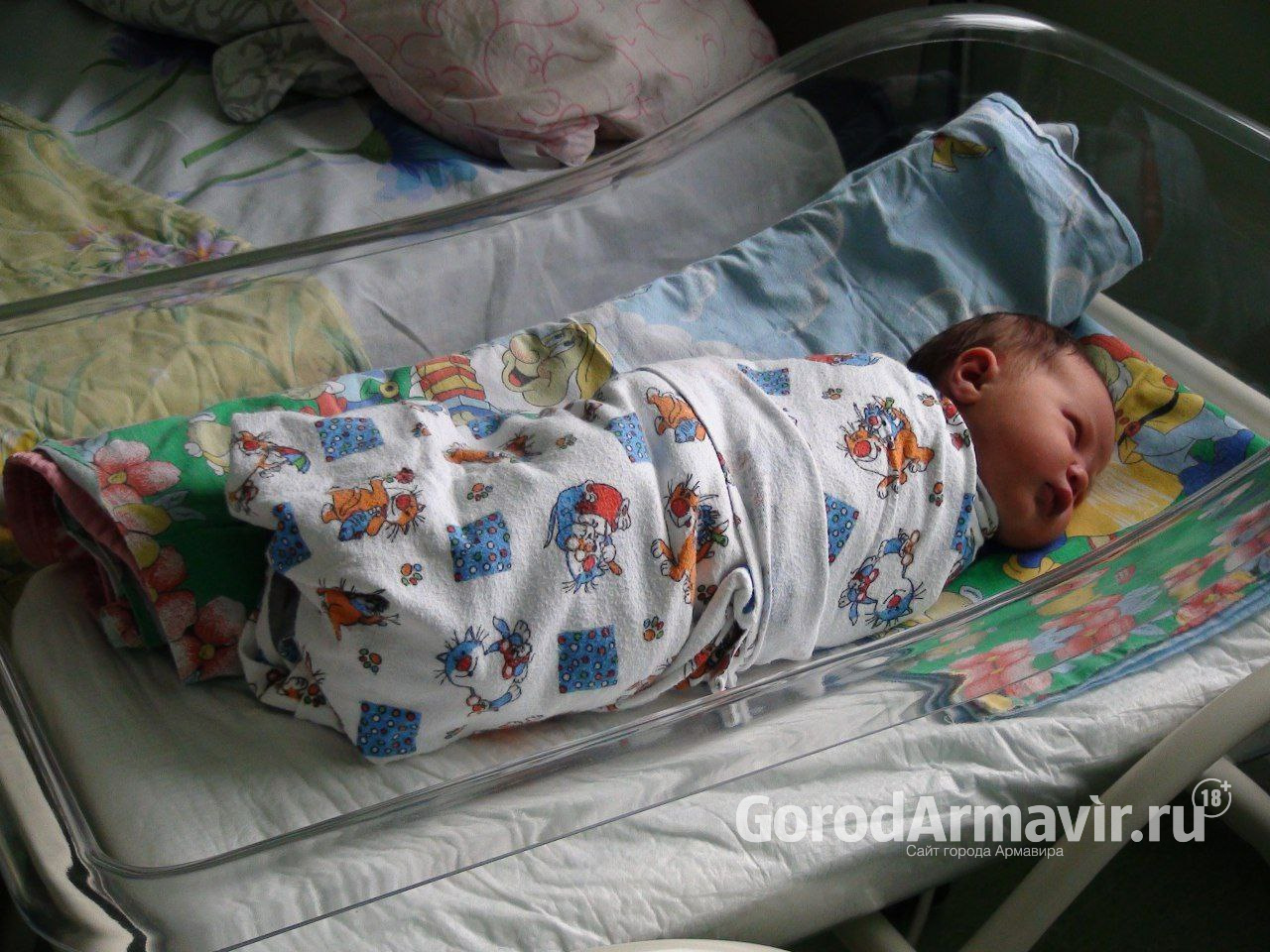Маленькие новости: население Армавира за сутки увеличилось на 7 новорожденных 