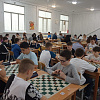 Более 100 спортсменов принимают участие в краевых соревнованиях по русским шашкам в Армавире 