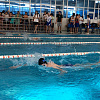 В Армавире участниками Первенства по плаванию стали более 200 ребят