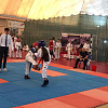 В Армавир бороться за Кубок краевой Федерации тхэквондо МФТ приехали 313 спортсменов