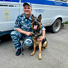 Хвостатая сотрудница кинологической службы ОМВД Армавира задержала вора на чердаке