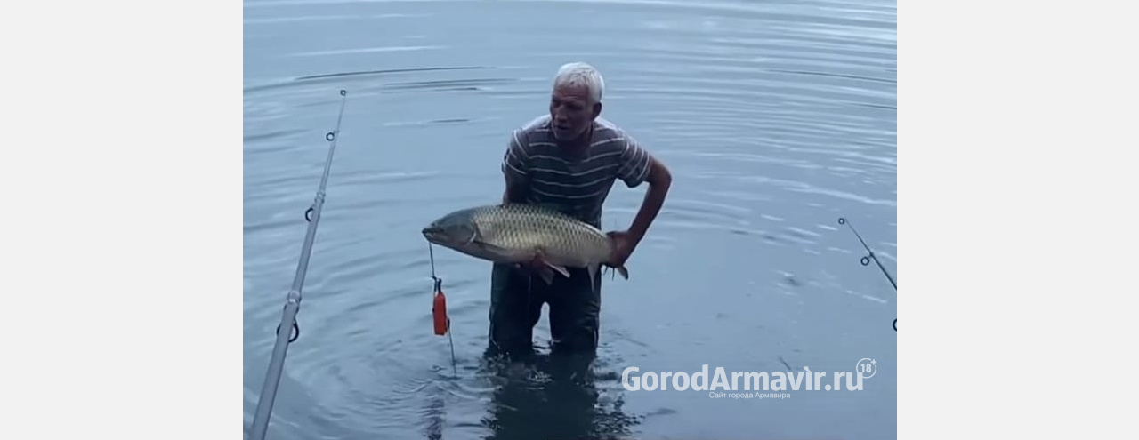 Мужчина поймал 17-килограммовую рыбу в водохранилище Армавира 