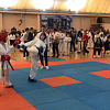 В Армавир бороться за Кубок краевой Федерации тхэквондо МФТ приехали 313 спортсменов