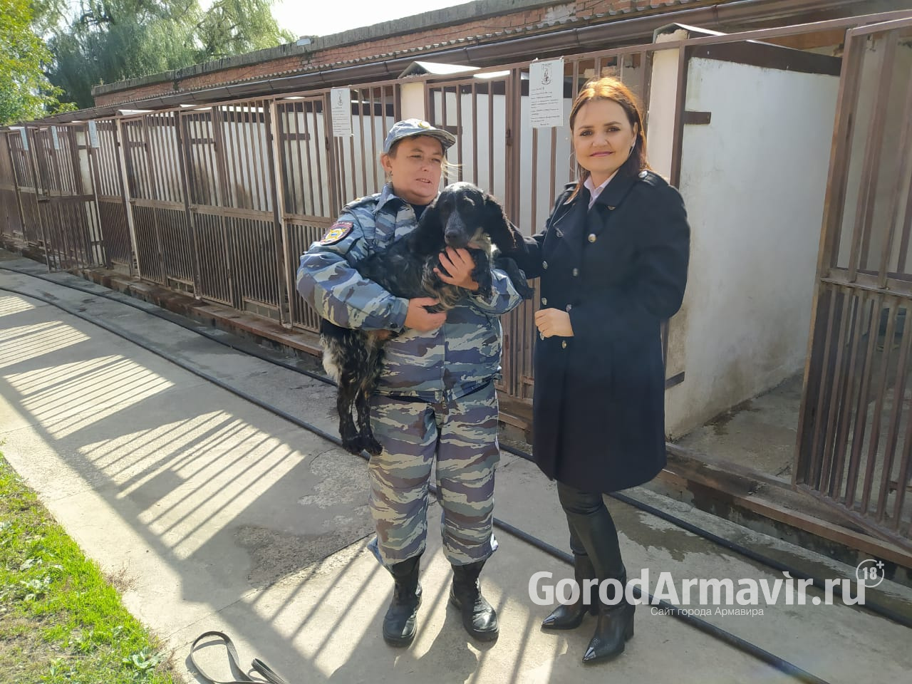 Центр кинологической службы Отдела МВД Армавира отправит собак на обучение в Ростов 