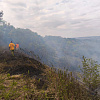 В Армавире потушили лесной пожар на площади в 0,3 га 