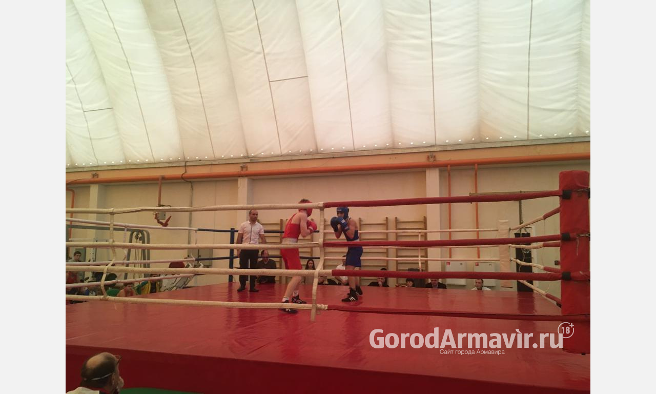В Армавире участниками турнира по боксу стали 90 спортсменов