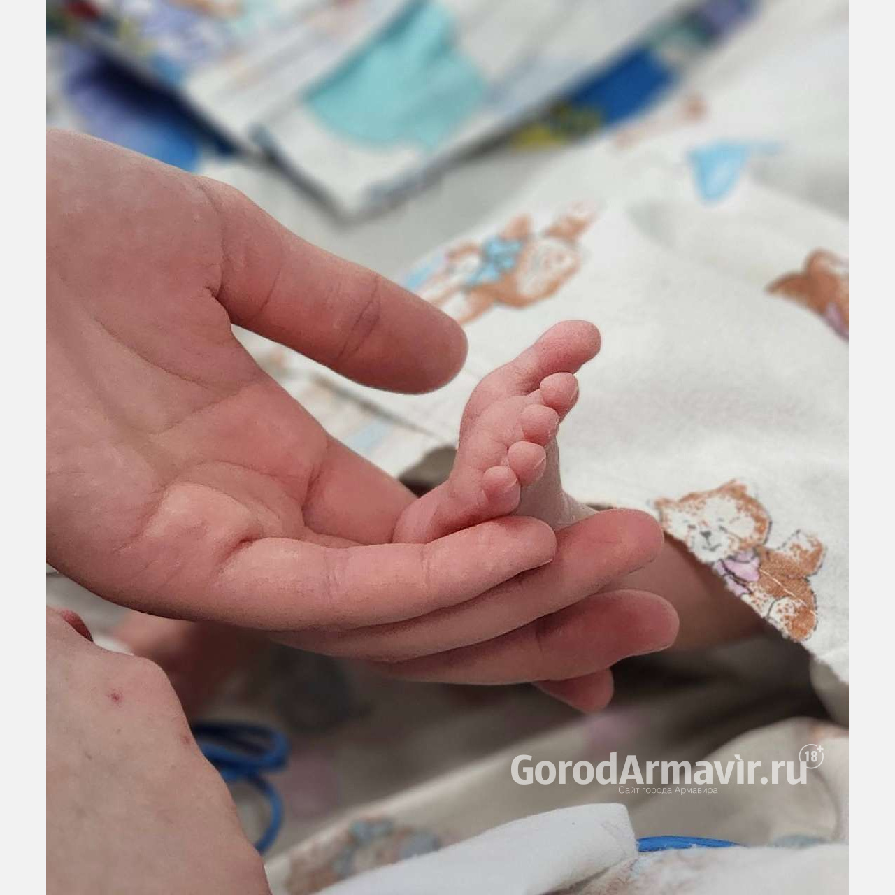 В Армавире за сутки родилось 16 малышей 