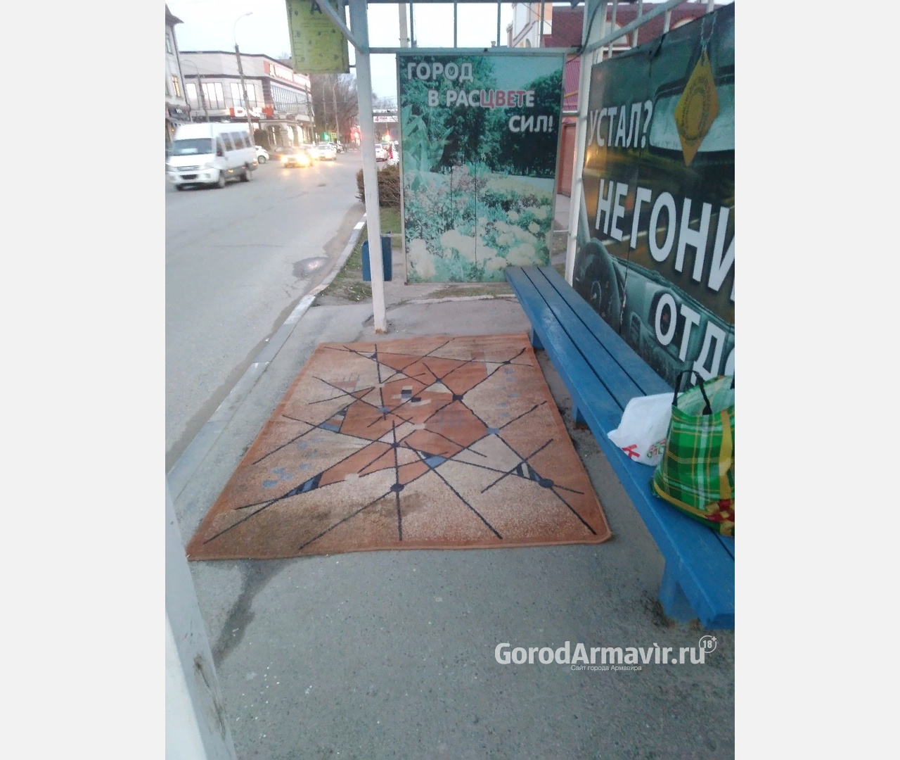 Ковер на автобусной остановке удивил жителей Армавира 
