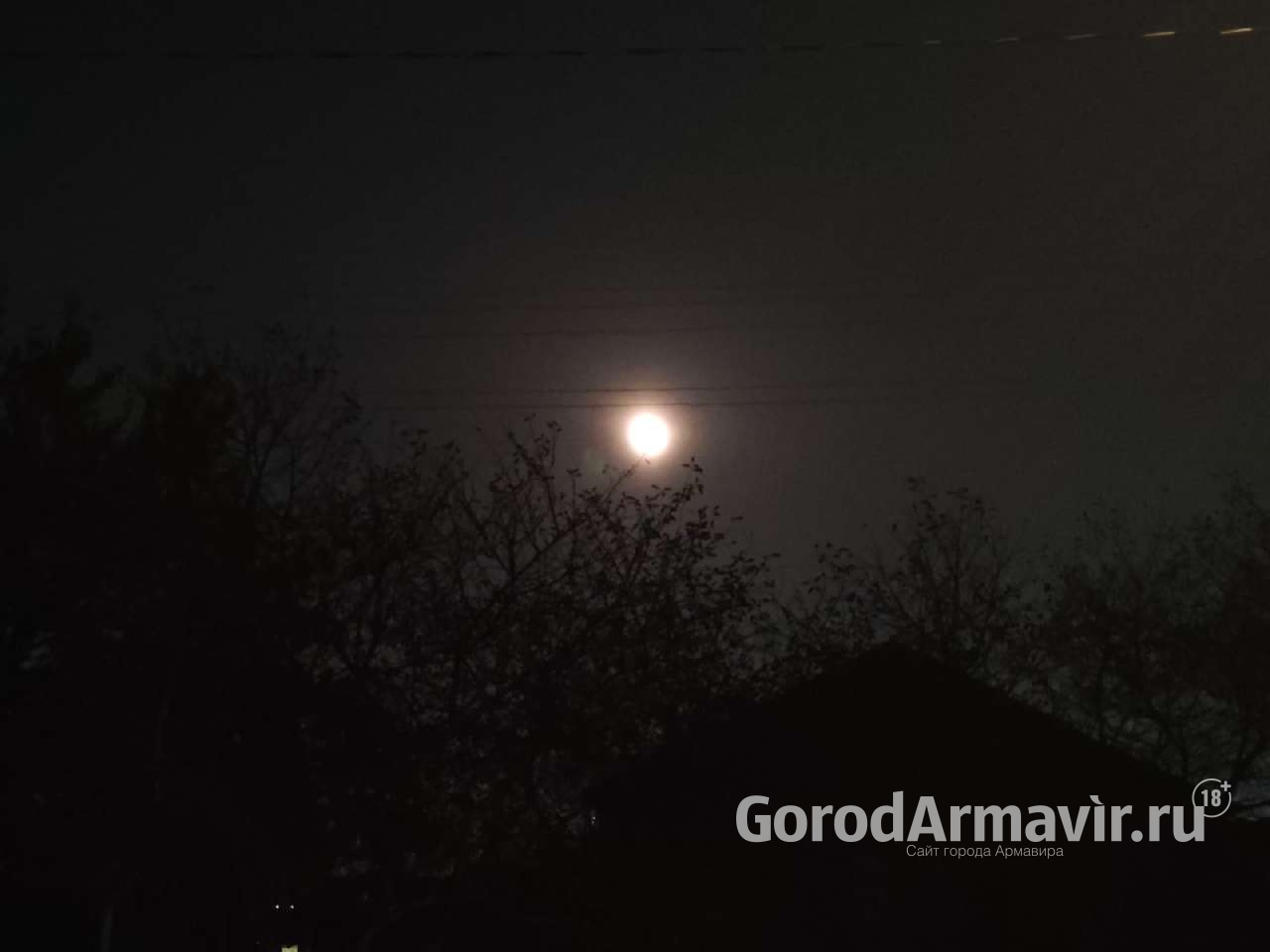 В ночь с 17 на 18 ноября жители Армавира смогут наблюдать метеорный поток Леониды