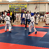 В Армавир на Кубок краевой Федерации тхэквондо МФТ приехали 250 спортсменов