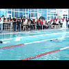 В Армавире прошло Первенство по плаванию памяти  Михаила Тхуго