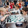 В Армавире 80 юных шахматистов боролись за «Кубок VIP» 