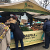 В Армавире на ярмарке выходного дня представлена продукция 40 производителей