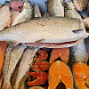 В Армавире до 20 сентября на Азовском рынке можно купить рыбную продукцию Камчатки и Сахалина