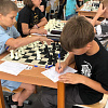 В Армавире участниками соревнований по шахматам стали более 200 человек