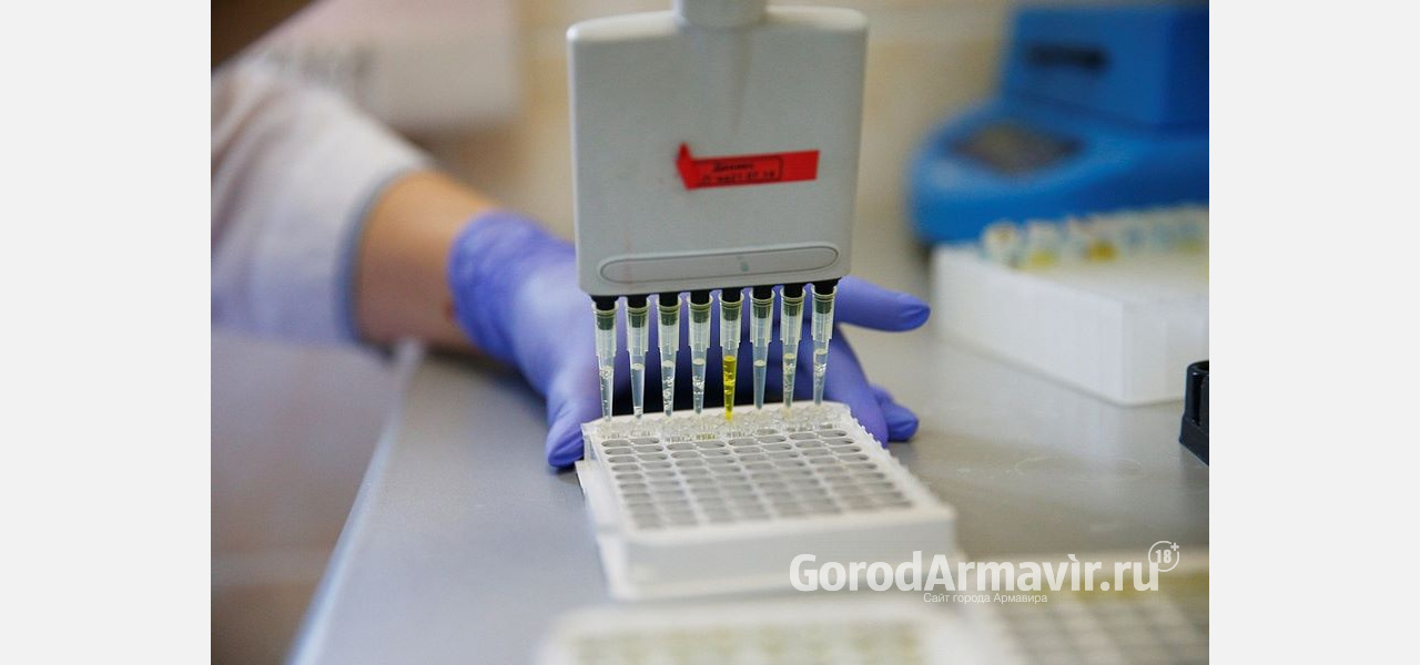 Одиннадцать человек заболели за сутки коронавирусом в Армавире 
