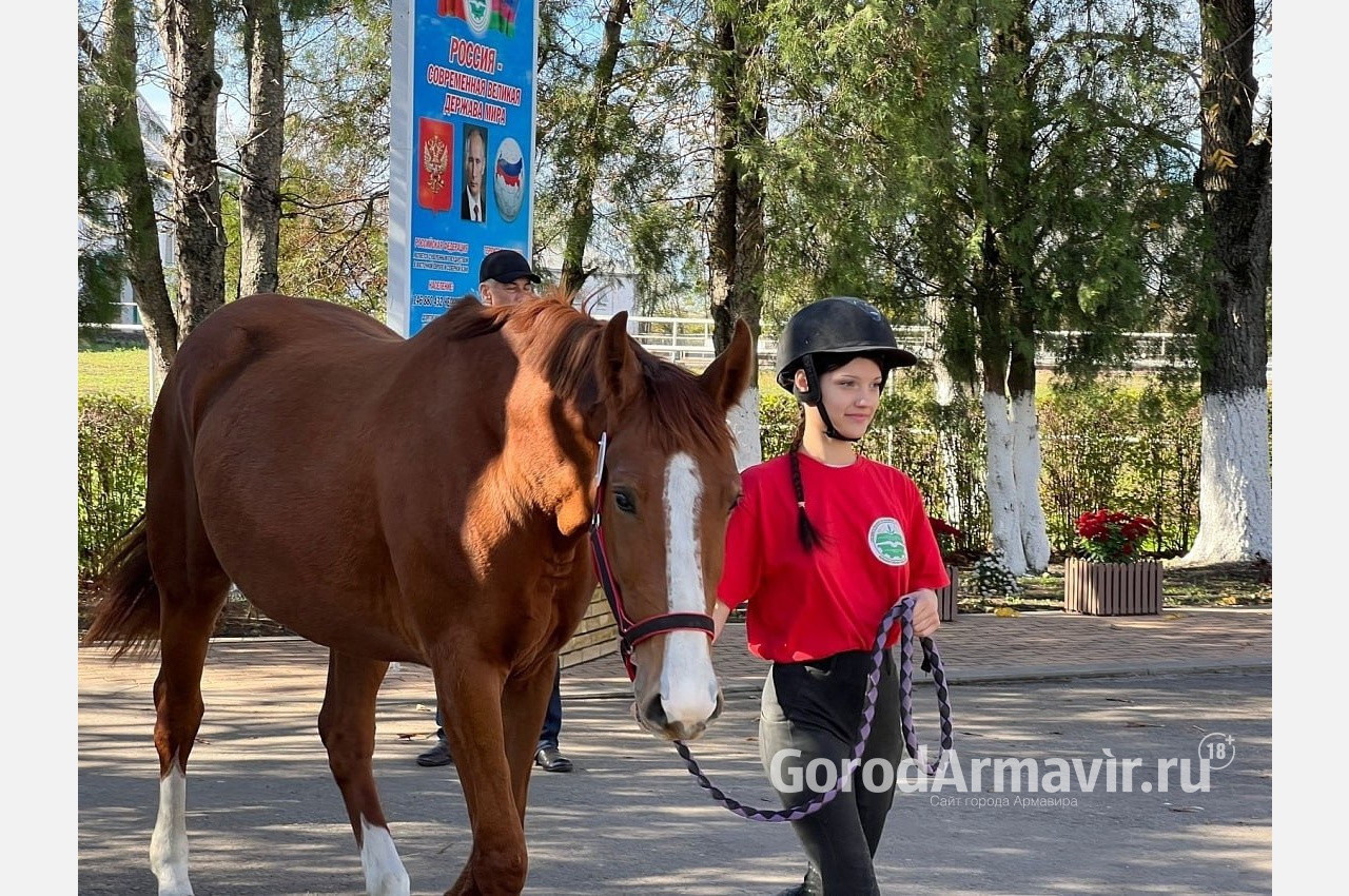 Александр Поляков из Армавира принял участие в ежегодной выводке-экспертизе лошадей