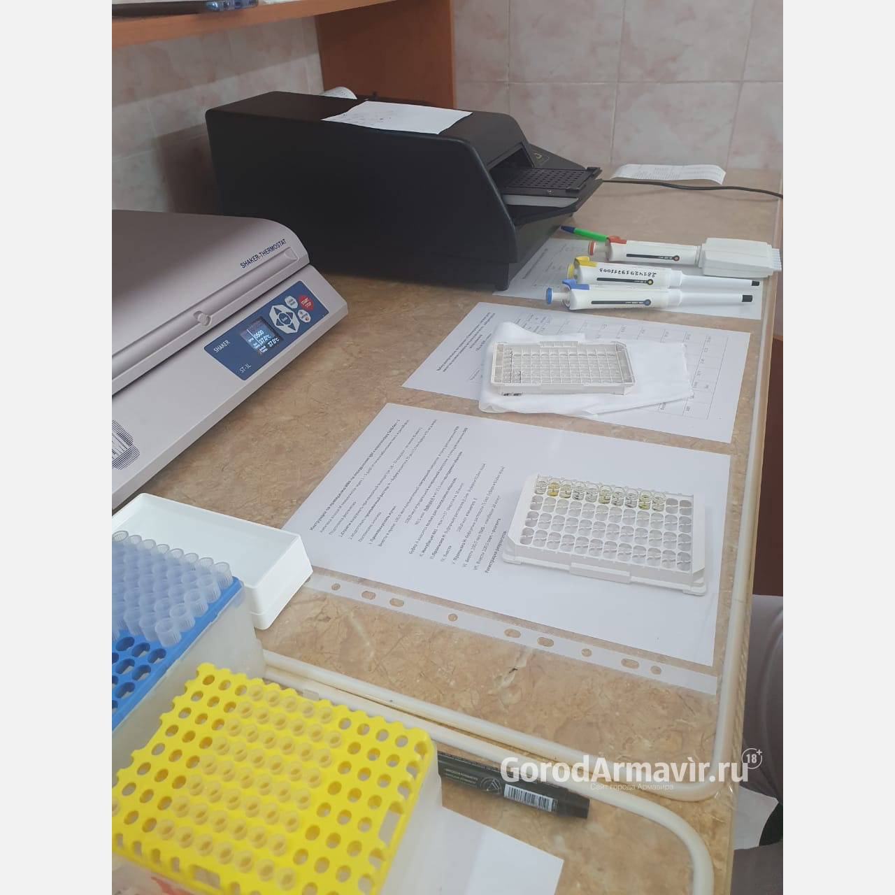 На Кубани и в Армавире ввели обязательную вакцинацию для лиц старше 60 лет 