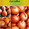 Садоводы и огородники! Спешите за качественными семенами в компанию «Мир семян»!