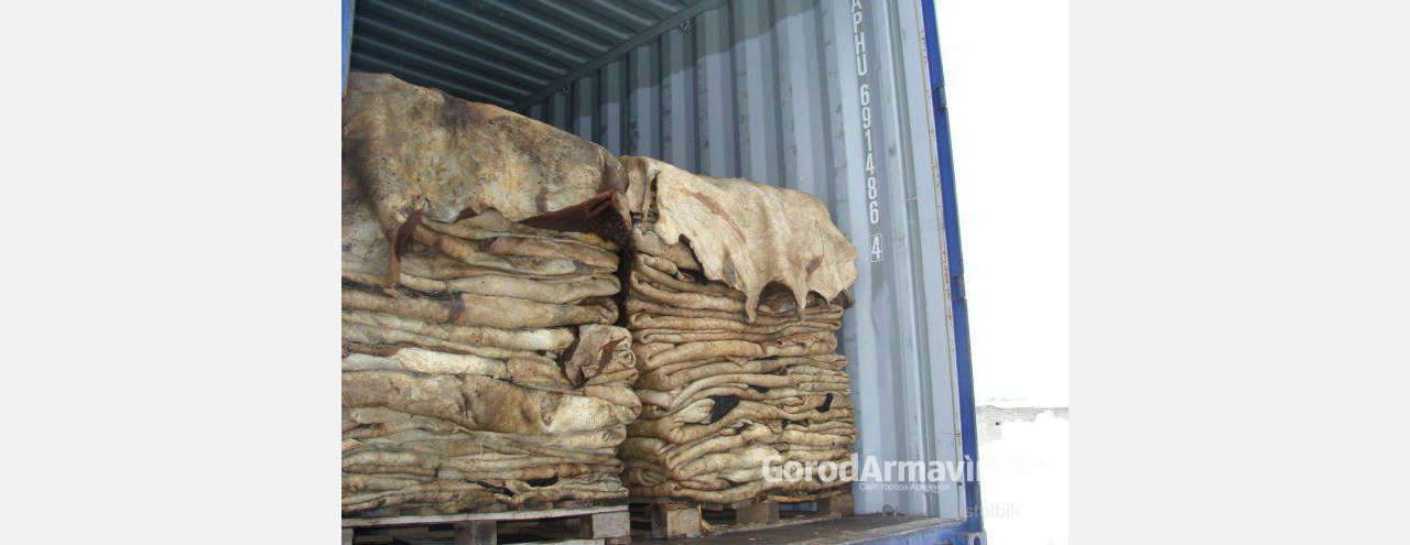 Из Армавира пытались вывезти 400 кг шкур рогатого скота неизвестного происхождения