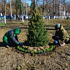 В Армавире озеленяют сквер вокруг Вечного огня 
