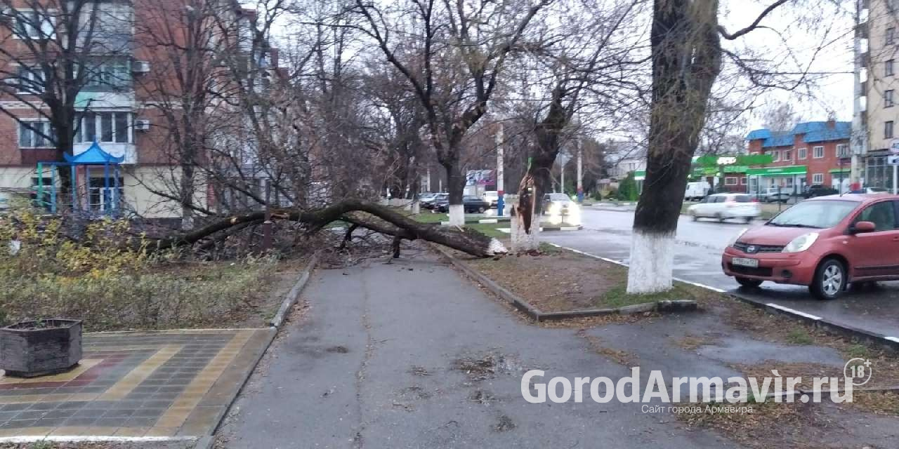 В Армавире из-за штормового ветра в нескольких районах нет света |  01.12.2021 | Армавир - БезФормата