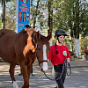 Александр Поляков из Армавира принял участие в ежегодной выводке-экспертизе лошадей