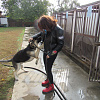 В Центр кинологической службы Отдела МВД Армавира прибыли 2 немецкие овчарки 