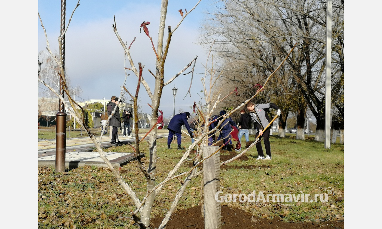 В Армавире восстановили «Сад памяти» к 75-летию Победы