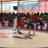 В Армавире участниками Всероссийских соревнований по самбо стали 168 ребят