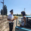 Автоинспекторы Армавира поздравили водителей с Днем семьи, любви и верности