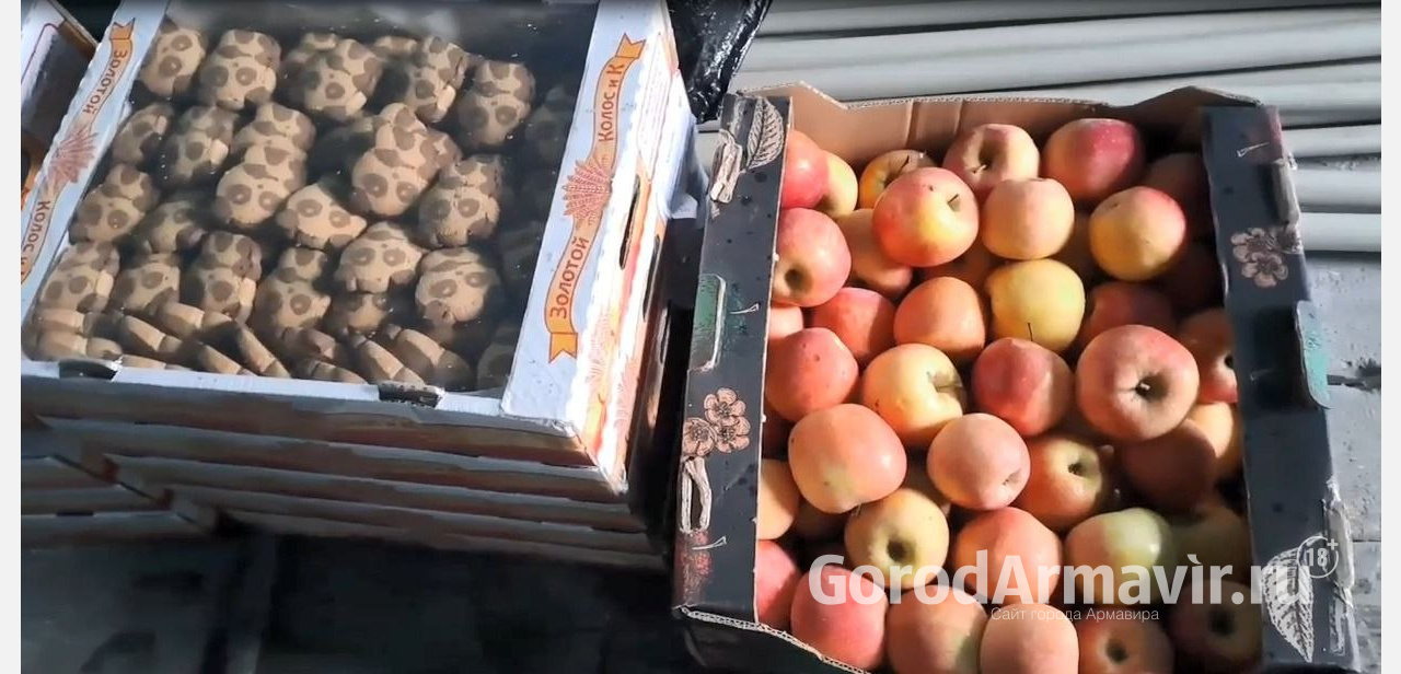 Более 1 тонны гуманитарных грузов отвезли волонтеры Армавира в детские дома прифронтовых регионов