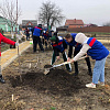 Около 100 деревьев высадили в честь дня рождения партии единороссы Армавира