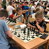 В Армавире участниками соревнований по шахматам стали более 200 человек