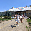 В Армавире на базе спортивной школы «Альбатрос» работает летняя оздоровительная площадка