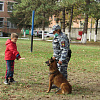 В Центр кинологической службы Отдела МВД Армавира прибыли 2 немецкие овчарки 